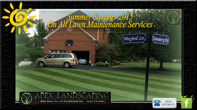 Services - Apex Landscaping